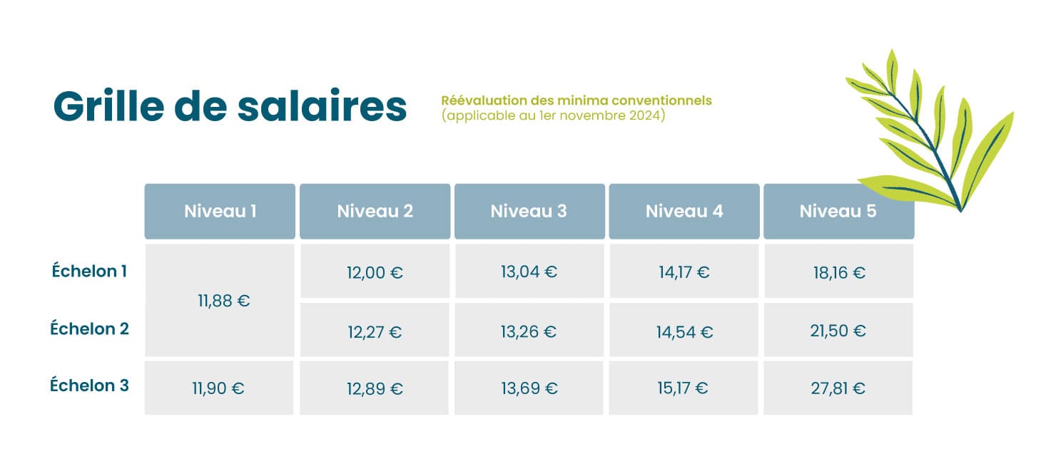 Grille des salaires - minima conventionnels réévalués novembre 2024